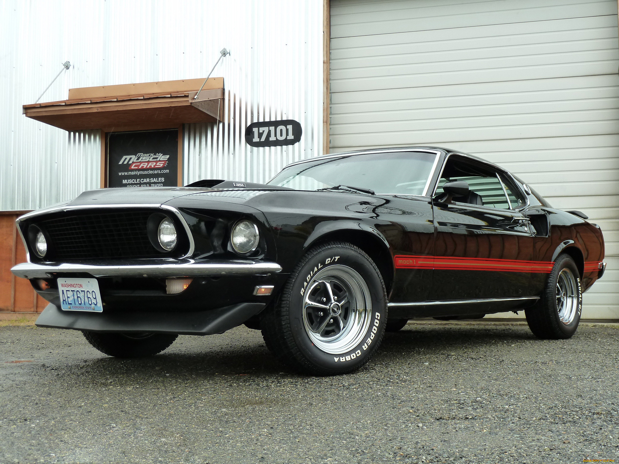 , mustang, mach